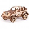 Trick en bois 3D - Kit de modélisme mécanique pour voiture - Puzzle en bois - Montage - Construction - Caisse de cerveau