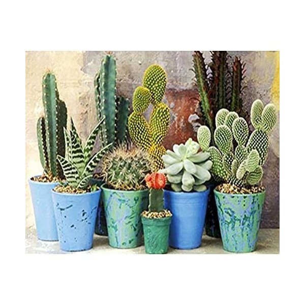 Puzzle 3D 1000 p - Cactus,1000 Puzzle pour enfants à partir de 14 ans Soulagement du Stress pour Adultes Enfants le fini mesu