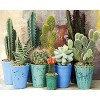 Puzzle 3D 1000 p - Cactus,1000 Puzzle pour enfants à partir de 14 ans Soulagement du Stress pour Adultes Enfants le fini mesu