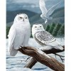 LIUWW Puzzle Adulte 1000 Pièces Harfang des neiges sur branchePuzzle Classique 3D Puzzle Bricolage Jouet en Bois Puzzles Cade