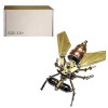 Lookin Lot de 100 puzzles en métal 3D - Mouche à fruits - Steampunk - Insecte - Bricolage - Puzzle 3D - En métal - Pour adult