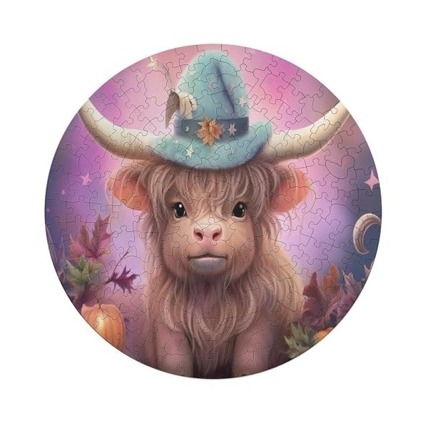 Avion Pattern Puzzles Adulte 195 Pieces Cadeau Famille Puzzle Classique 3D Puzzle EnfantsJouet en Bois Cadeau Unique Décorati