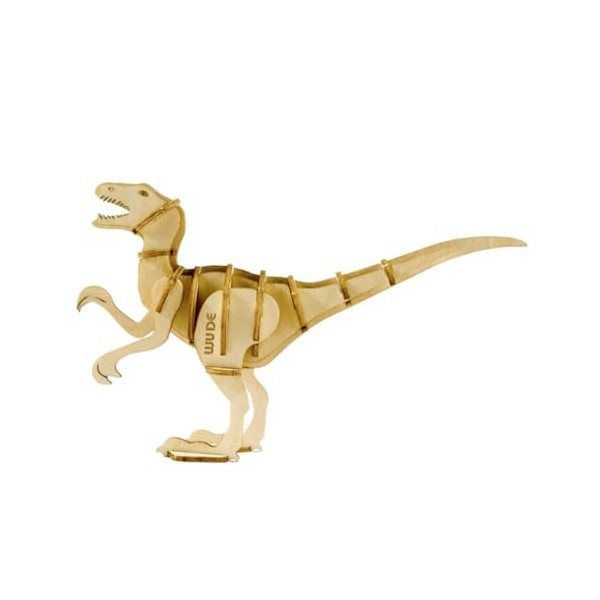 Abaodam 2 Pièces Bricolage Puzzle en Bois Jouets en Bois Dinosaure Puzzles Jouet en Bois Dinosaure Puzzle 3D en Bois Animal P