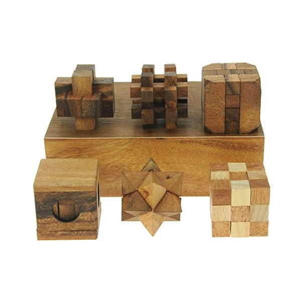 Casse-tête en Bois 3D de Namesakes® x6 - Jeux de réflexion sur Le IQ - Défi de Table Original - Cadeau Amusant pour Les Adu