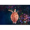 YANCONG Puzzle en Bois Adulte 500 Pièces, Puzzle 3D, Tortue Récif De Corail À Does Gouja