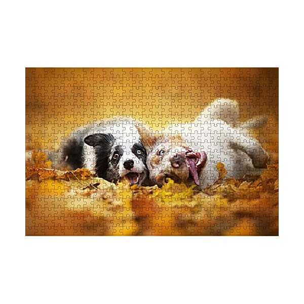 LHJOY Puzzle 3D Adulte 1000 pieceBorder Collie Chien Animal Cadeau de Vacances Cadeau danniversaire 75x50cm