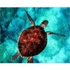 Puzzle 1000 Pièces Puzzle Adulte Puzzle en Bois Classique 3D Puzzle Tortue Mer Natation Animal DIY Décor À La Maison