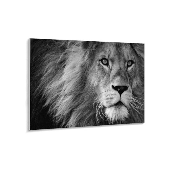 3D Puzzle 1000 Pieces，Lion，Design Unique Jouet Éducatif pour Adolescents Et Enfants Idée Cadeau（75x50cm）-11