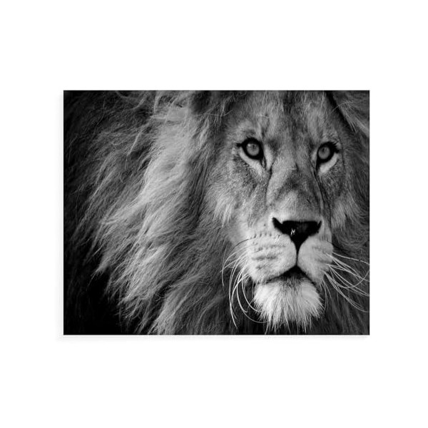 3D Puzzle 1000 Pieces，Lion，Design Unique Jouet Éducatif pour Adolescents Et Enfants Idée Cadeau（75x50cm）-11