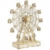 Rolife Puzzle en Bois 3D La Grande Roue Boîte à Musique Maquettes en Bois à Construire Kit de Bricolage Cadeaux de Noël pour 