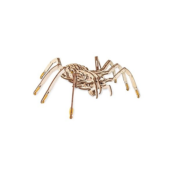 EWA Eco-Wood-Art Araignée 3D Mécanique en Bois-Puzzle pour Adultes et Adolescents-Assemblage sans colle-293 pièces, Spider, N