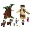 LEGO Harry Potter Forbidden Forest: Umbridge’s Encounter 75967 Magical Forbidden Forest Toy from Harry Potter and The Order o