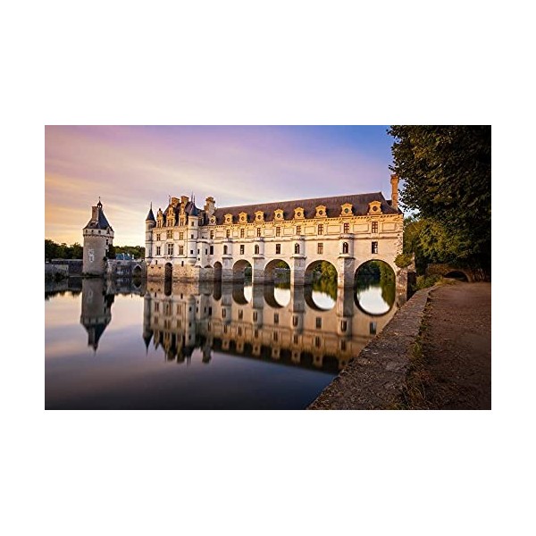 YANCONG Puzzles Classiques 1000 Pièces, Puzzle 3D Château De Chenonceau, Vallée De La Loire Cadeaux Uniques Décoration dart 