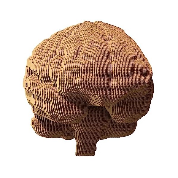 CARTONIC Jeu de Puzzle 3D Brain - Fabriqué à partir de Carton recyclé - Activité Amusante et captivante pour Tous Les âges