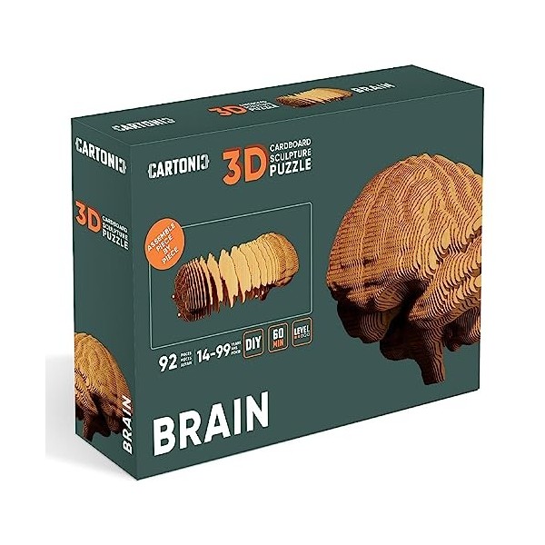 CARTONIC Jeu de Puzzle 3D Brain - Fabriqué à partir de Carton recyclé - Activité Amusante et captivante pour Tous Les âges