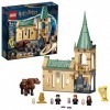 LEGO Harry Potter 76387 Hogwarts Fluffy Encounter