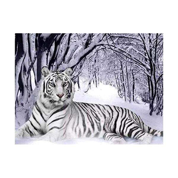 Puzzle Adulte 1000 Pièces Puzzle 3D Tigre blanc-1000_pieces Puzzle Adultes- Premium Puzzle - dès 14 ans Relax Puzzles Jeux