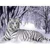 Puzzle Adulte 1000 Pièces Puzzle 3D Tigre blanc-1000_pieces Puzzle Adultes- Premium Puzzle - dès 14 ans Relax Puzzles Jeux