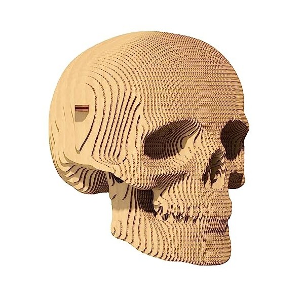 CARTONIC - Skull : Un Voyage captivant dassemblage et de créativité - Puzzle 3D en Carton - Le Carton se transforme en Une F