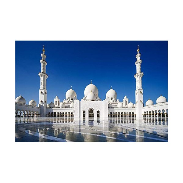 YANCONG Puzzle 1000 Pièces, Puzzle 3D, Mosquée Sheikh Zayed