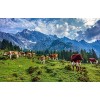 YANCONG Puzzle Enfant 1000 Pièces, Puzzle 3D Vaches sur Un Pâturage en Autriche Puzzle en Bois DIY Décoration Murale Domicile