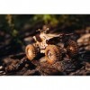 Wood Trick Cross Quad Bike Puzzle en Bois 3D à Construire pour Adultes et Enfants - Parcourt jusquà 9 m - Kits de Modèles de