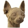 Ensemble de Puzzle 3D CARTONIC - Chat Sphynx - Puzzle 3D en Carton - Le Carton se transforme en Une Figure en Relief - Tous L