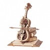 ROKR Puzzle en Bois 3D Modèle Mécanique Construire Maquette pour Adulte Enfants, Boîte à Musique Violoncelle Magique