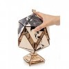 EWA Eco-Wood-Art - ICOSAHEDRAL Globe Black - Puzzle 3D mécanique en Bois - Casse-tête pour Adultes et Adolescents -à Monter