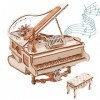 ROKR Piano Puzzle 3D en Bois pour Adultes à Construire- Décoration de Bureau pour la Maison idée Cadeau AMK81 