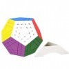 Gobus ShengShou 5x5 Megaminx Dodécaèdre 5x5 Gigaminx megaminx Cube 12 Surface, difficulté 5 étoiles sans autocollant 
