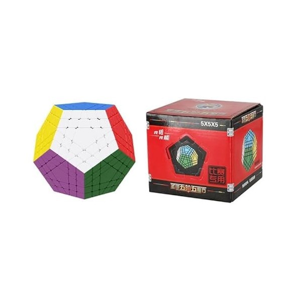 Gobus ShengShou 5x5 Megaminx Dodécaèdre 5x5 Gigaminx megaminx Cube 12 Surface, difficulté 5 étoiles sans autocollant 