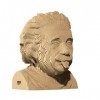 Cartonic - Puzzle 3D Albert Einstein