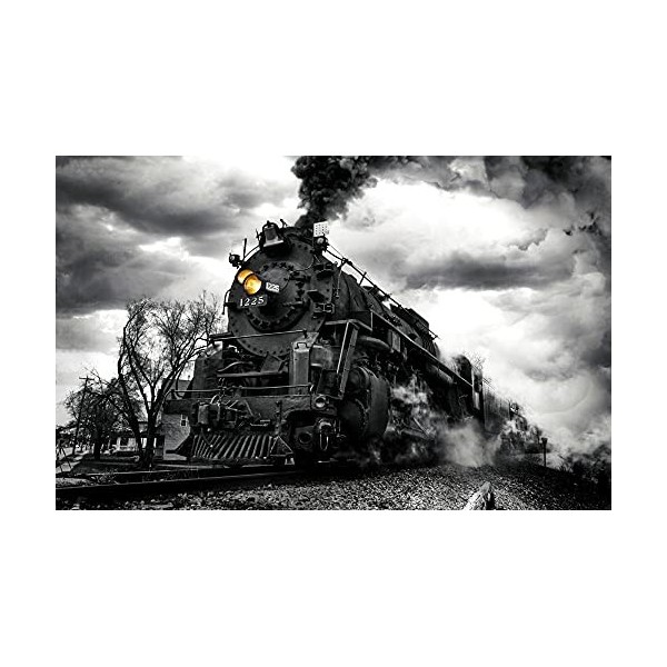 YANCONG Puzzle Adulte 1500 Pièces, Puzzle 3D Moteur De Train Noir Et Blanc Fumant Cadeaux Uniques Décoration dart Mural Bric