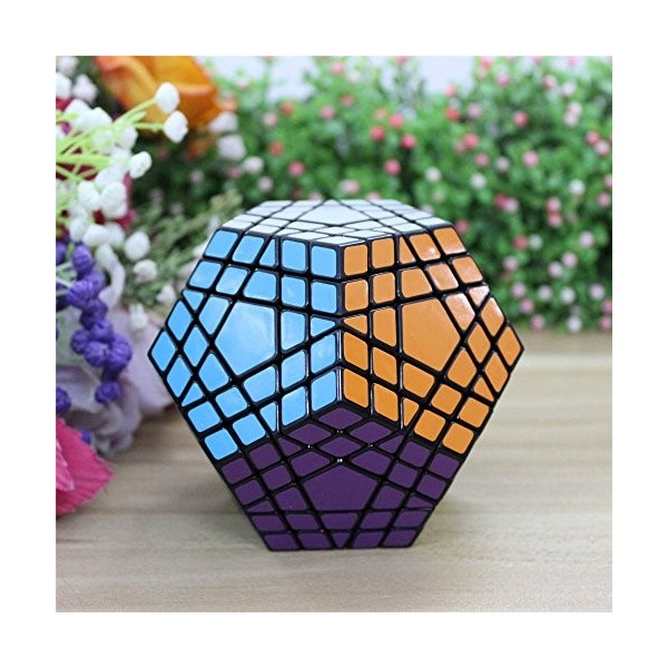 HappyToy Shengshou Megaminx Dodecahedron 5x5x12 Noir Couleur Vitesse Cube Puzzle Puzzle Magic Cube Speed Twist Toy + Un trépi