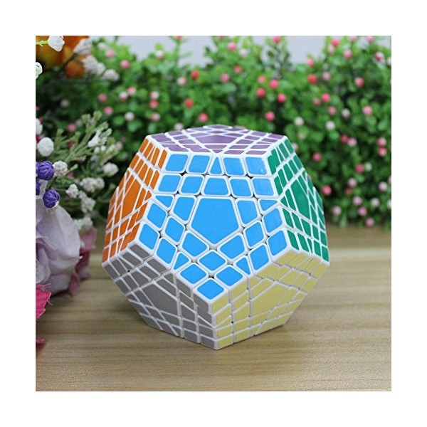 Oostifun Shengshou Puzzle Gigaminx Megaminx Cube 12 Surface 5 x 5 x 5 + un trépied Blanc 