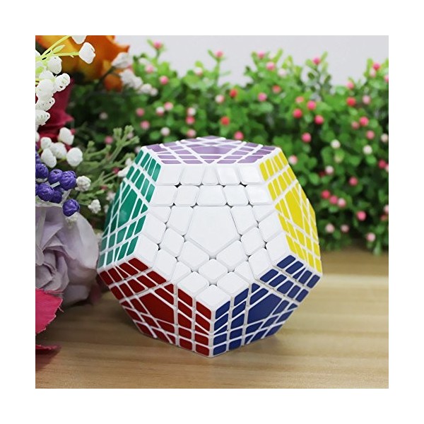 FunnyGoo Shengshou 5x5 12 Surface Gigaminx megaminx Magic Cube + Un Cube Présentoir Blanc 