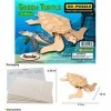 Puzzled Green Turtle Wooden 3D Puzzle Construction Kit