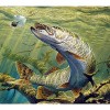 GBPR Puzzle Adulte 1500 Pièces Puzzle 3D poisson-1500 pour Enfants et Adultes Cadeaux Jeu de Pose coloré Jeu dadresse pour T
