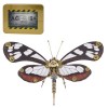 JoyMate Butterfly Puzzle 3D en métal pour adultes, puzzle mental steampunk, kit de modélisme, bricolage mécanique insecte puz