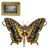 RULZ Papilio maackii Lot de 150 puzzles dinsectes 3D en métal punk pour enfants et adultes - Bricolage - Modèle papillon méc