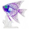 Transparent Specimen 3D Dual Layer Puzzle Angelfish 