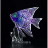 Transparent Specimen 3D Dual Layer Puzzle Angelfish 