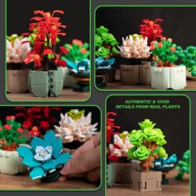 AOUNTRON Ensemble de construction pour plantes grasses - Décoration de bureau - Modèle bonsaï en briques - Cadeau à faire soi