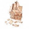 needlid Puzzle dassemblage en Bois 3D Exquis intéressant, modèle de Puzzle en Bois, Durable pour Les Enfants à la Maison fam