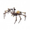 Novaray Puzzle 3D en métal, 270 pièces modèle araignée DIY Kits avec boule de cristal incandescente de 2 cm, kit de puzzle 3D