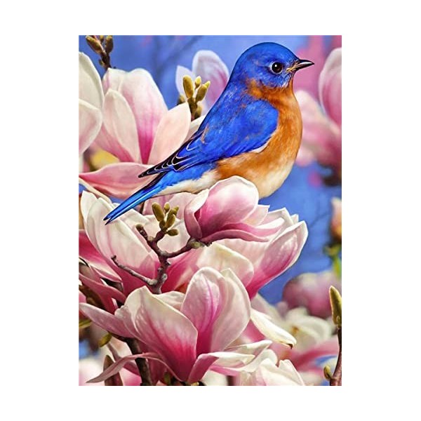 Puzzle Bois Adulte Little bird,1500 Matériaux Recyclés de Haute Qualité et Impression de Haute Définition Puzzle 3D Décor À L