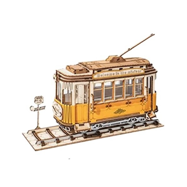 LIOONS Puzzles pour Adultes Puzzles pour Enfants Puzzle 3D en Bois Modèle dassemblage Kits dartisanat pour garçons et Fille