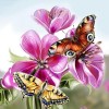 Puzzle 3D 2000 p - Butterfly,2000 Puzzle Classique Puzzle Adulte et Enfant Jouet Éducatif de Soulagement du Stress pour Adult