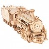 RoWood Puzzle 3D en bois pour adultes et adolescents - Kits de construction de train mécanique à léchelle - Prime Steam Expr